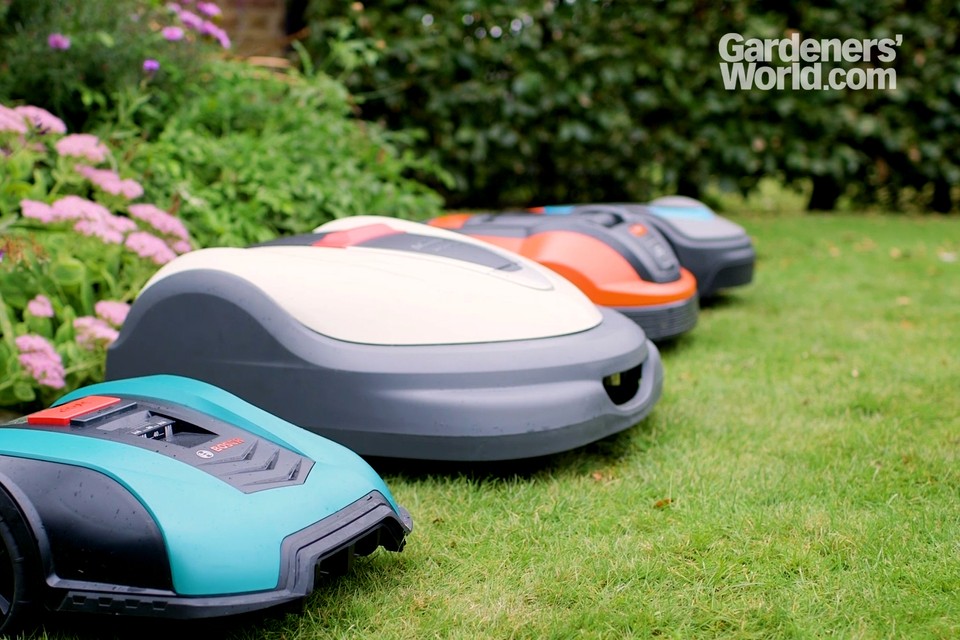 Best Robot Lawn Mower For 2022